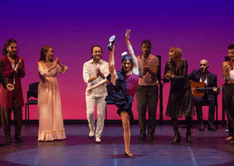 Una semana de flamenco en Teatro Digital con el bailaor David Morales y la Compañía de Danza del Teatro Mayor
